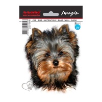 Samolepky na auto design Yorkshire Terrier II (rozměr 11x13cm) Samolepky na auto design Yorkshire Terrier II (rozměr 11x13cm)