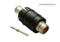 RAST RAST