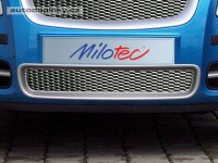 Milotec mřížka sání do předního nárazníku Škoda Fabia II / Roomster (stříbrný/Nerez) Milotec mřížka sání do předního nárazníku Škoda Fabia II / Roomster (stříbrný/Nerez)